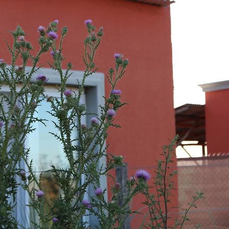 La Narcisa Villa Pehuajo Luaran gambar