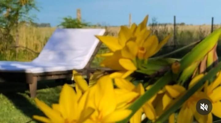 La Narcisa Villa Pehuajo Luaran gambar