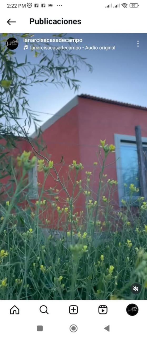 La Narcisa Villa Pehuajo Luaran gambar